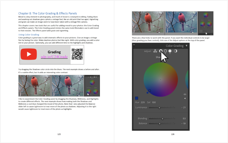 Sample pages from Lightroom Classic 2024 Made Fast, Fun, & Easy (2 of 4)