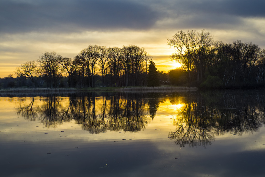 A sunrise on a lake.