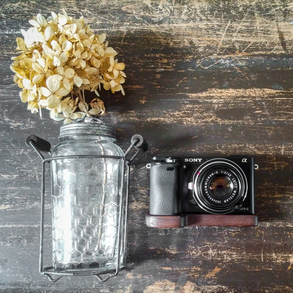 Vase and camera