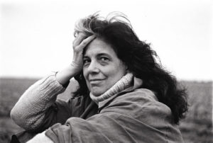 Sontag 2004