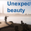 Live Show Recap: Unexpected Beauty unexpected