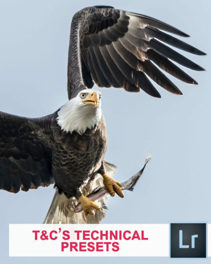 Technical Presets cover